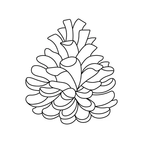 Cône de pin contour dessiné à la main | Vecteur Premium